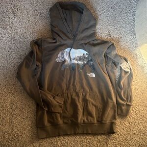 The North Face Men's Brown Hoodie